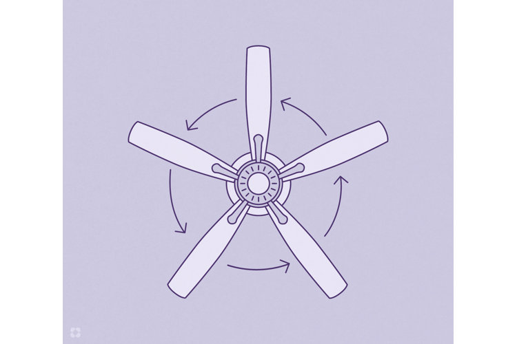 How to Find Which Direction Ceiling Fans Should Spin Wayfair How to Find Which Direction Ceiling Fans Should Spin Wayfair